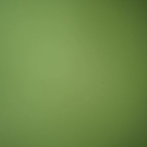 Meet your Posher, Samuel